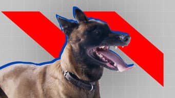 Episódio 4