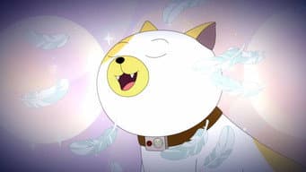 Cake O Gato