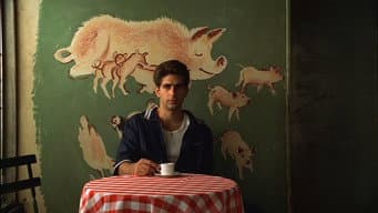 A Lenda de Tennessee Moltisanti