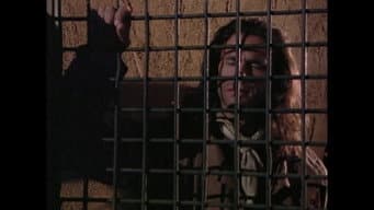 Episódio 16