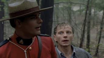Episódio 3
