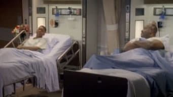 Episódio 5