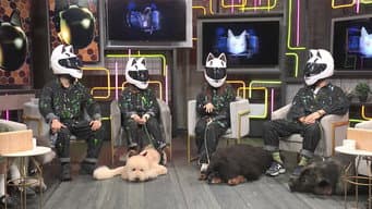 Episódio 381