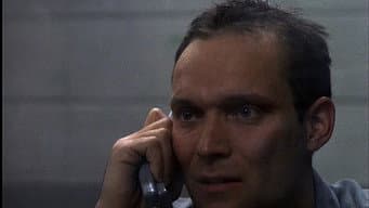 Episódio 22