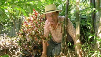 Episódio 38