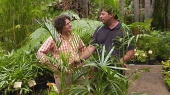 Episódio 21