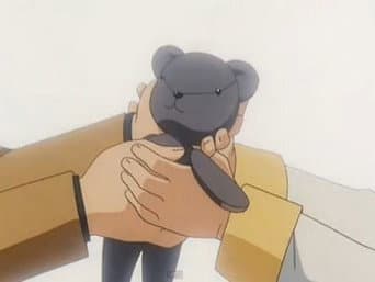 O Verdadeiro Sentimento de Sakura