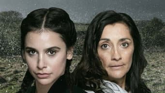Episódio 291