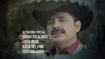 Episódio 32
