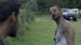 Episódio 11