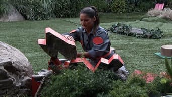 Episódio 15