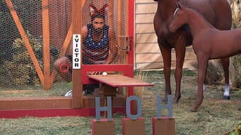 Episódio 35