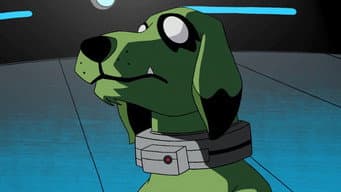 Todo Cão tem seu Dia