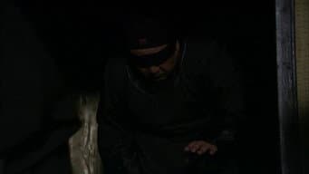 Episódio 29