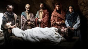 Episódio 15