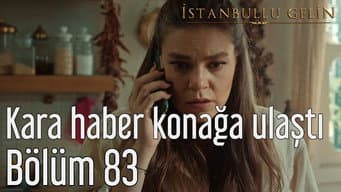 Episódio 31