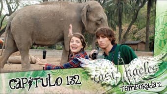 Episódio 132