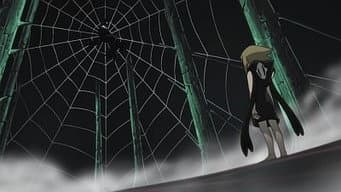 Medusa revivida! Aranha e cobra, um encontro predestinado?