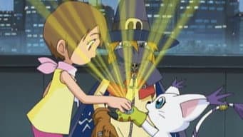O Destino Misterioso de Tailmon