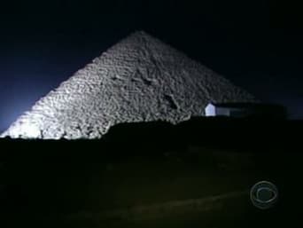 Não Podemos Pegar Um Camelo?