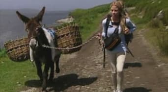 Burros Também Têm Alma