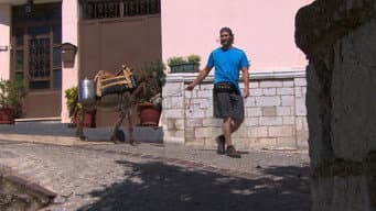 Bom Trabalho, Burro