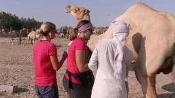 A Primeira Regra do Clube Amazing Race (Parte 1)