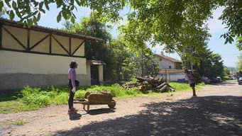 Episódio 7