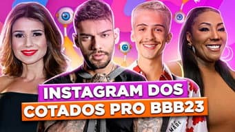 XERETANDO O INSTAGRAM DOS COTADOS PRO BBB23 | Diva Depressão