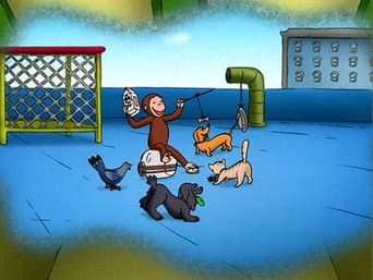 Episódio 53