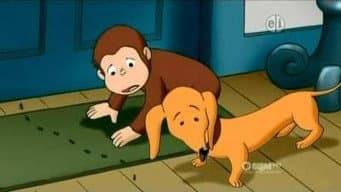 Episódio 13