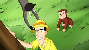Episódio 11
