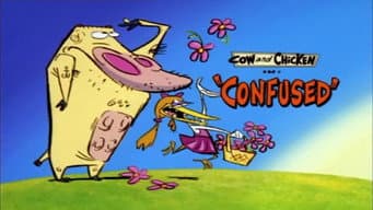 Confusões