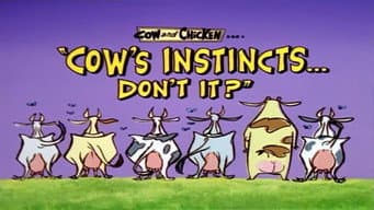 Instintos Bovinos
