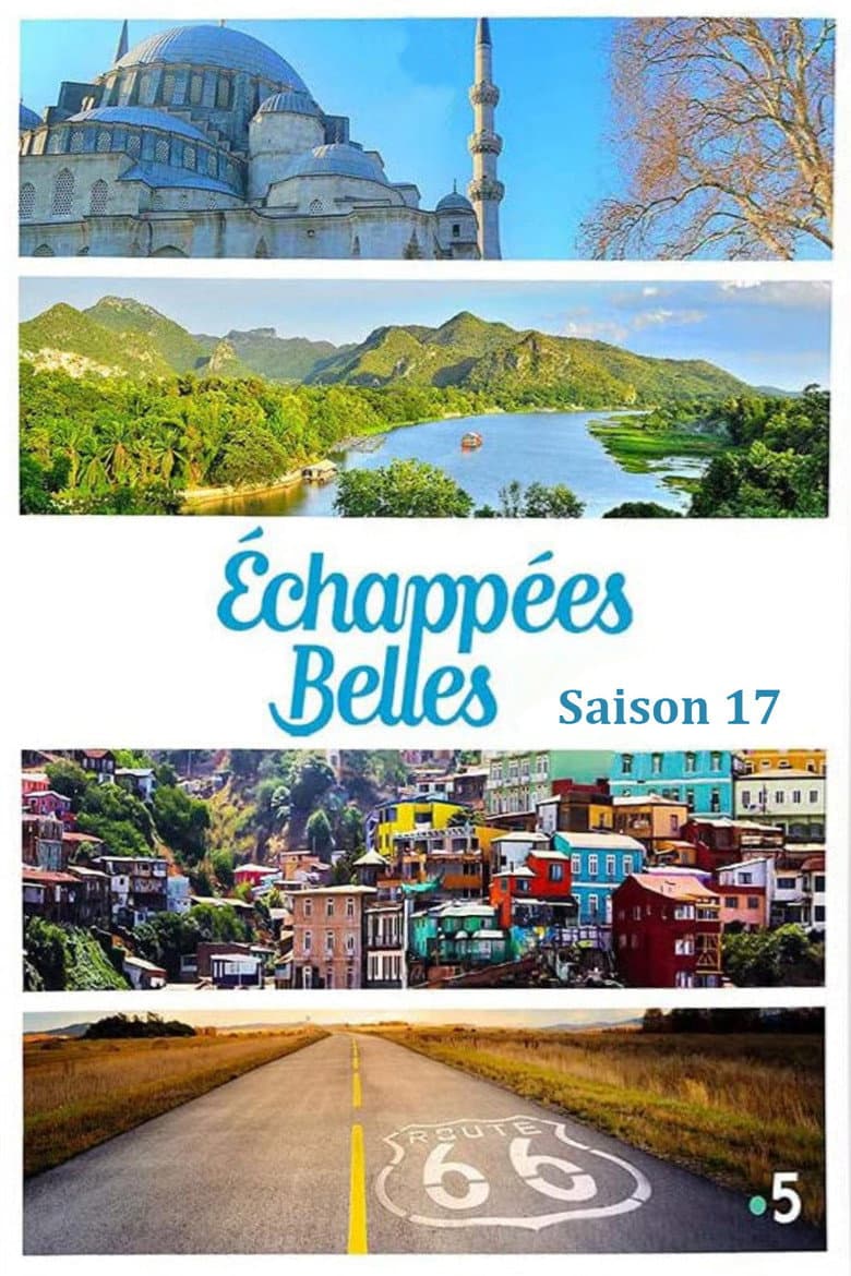 Temporada 17