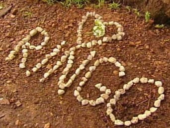 Episódio 197