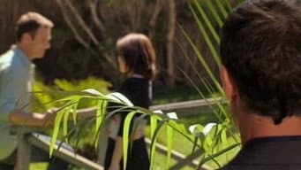 Episódio 36
