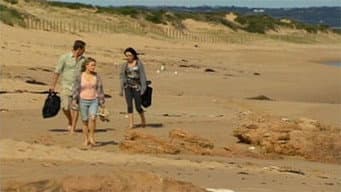 Episódio 238