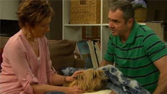 Episódio 19