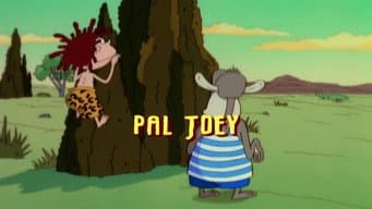 Amigo Joey