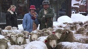 Episódio 16