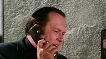 Episódio 19