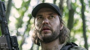 O Lobo Que Você Alimenta
