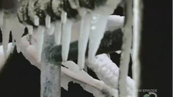 Episódio 10