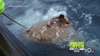 Episódio 15