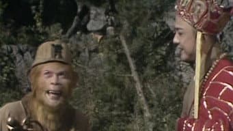 Episódio 5