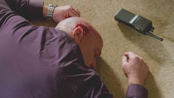 Despertar