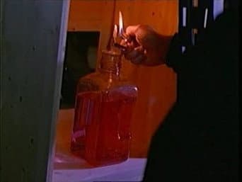 Episódio 14