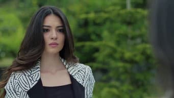 Episódio 33