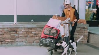 Episódio 1